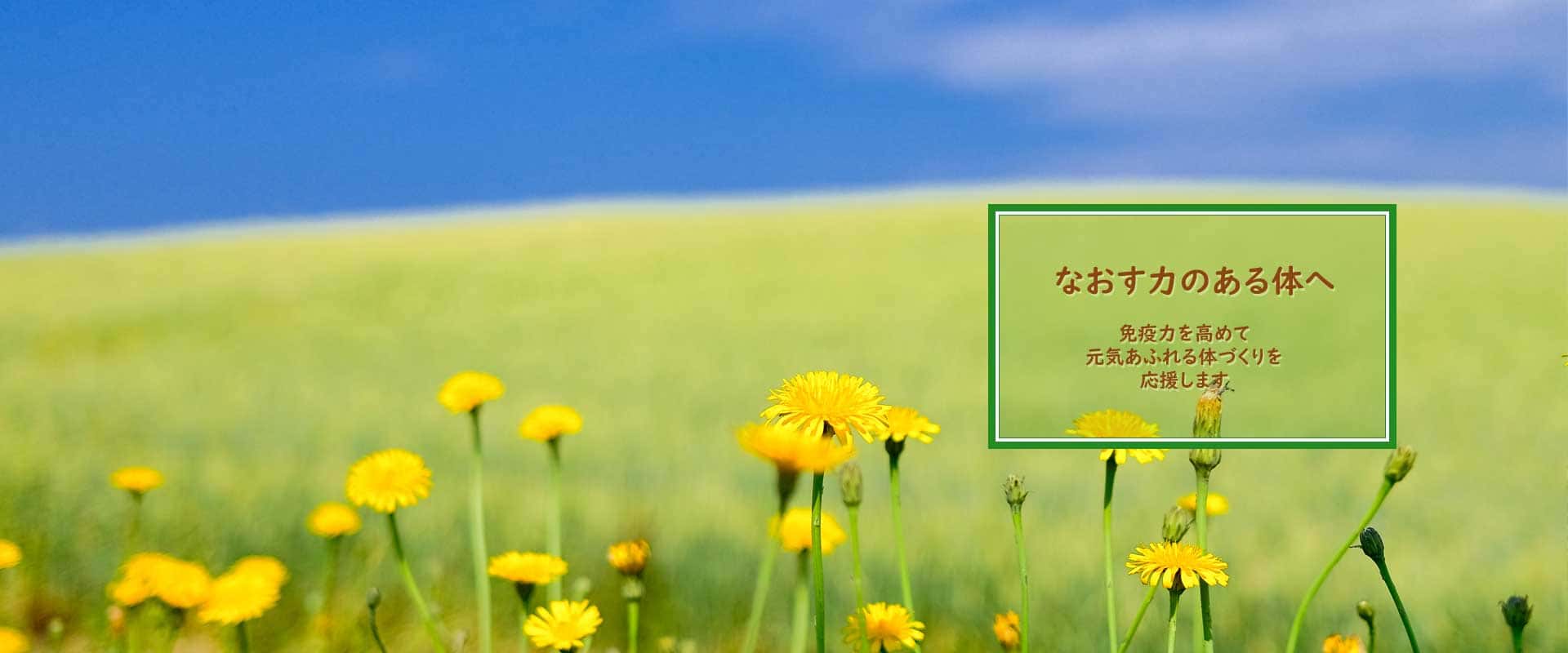 漢方サロンたんぽぽの漢方薬のトップ画像2